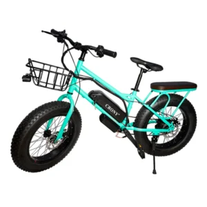 CRONY 22” Sand Rider electric Outdoor desert riding electric bicycle