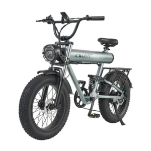 CRONY K20 Plus Electric Bicycle Mountain Electric Bike 1000W 10AH Electric Style Bike Outdoor Entertainment Snow