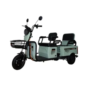 CRONY W10 Electric Mobility Scooter Passenger Electric Scooter