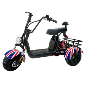 CRONY SS-11W Electric Scooter 1000W Motor 48V/15AH Battery 25-45KM Range Disc Brakes Front/Rear Suspension three wheel scooter with basket Electric Motorcycle