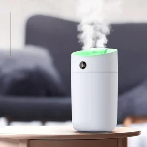 Portable Mist Humidifier 3L USB Adjustable Output