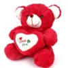 “Red Rose Soft Teddy Bear"