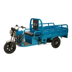 CRONY X1A X1B Heavy 3 Wheeler Electronic Big Truck 1200W Electric Motorcycle Electric Bicycles