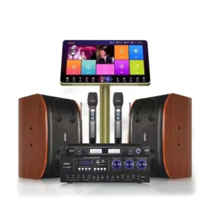 CRONY 200W KTV System 10 inch professional audio set karaoke
