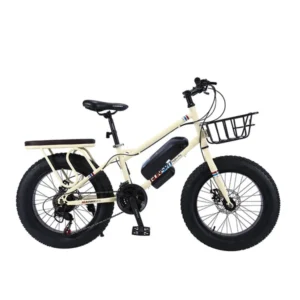 CRONY 22 inch sand electric vehicle Outdoor desert riding electric bicycle | Yellow