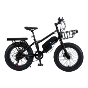 CRONY 22 inch sand electric vehicle Outdoor desert riding electric bicycle | Black