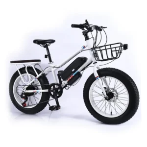 CRONY 22 Inch Sand Rider Electric Scooter 350W Adult Commuter Long Range E Scooter