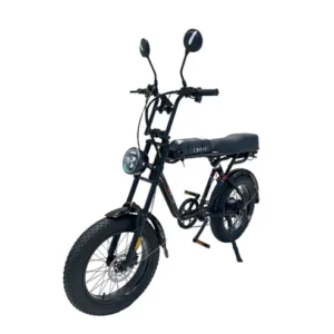 CRONY Y1 Electric Scooter 1000W Adult Commuter E Scooter