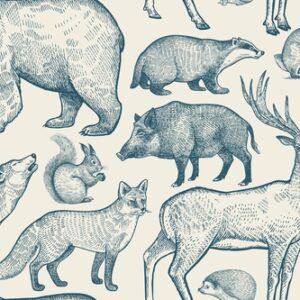 Cabin Wildlife Wallpaper