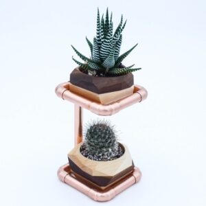 Geometric Double Cactus & Succulent Planter with